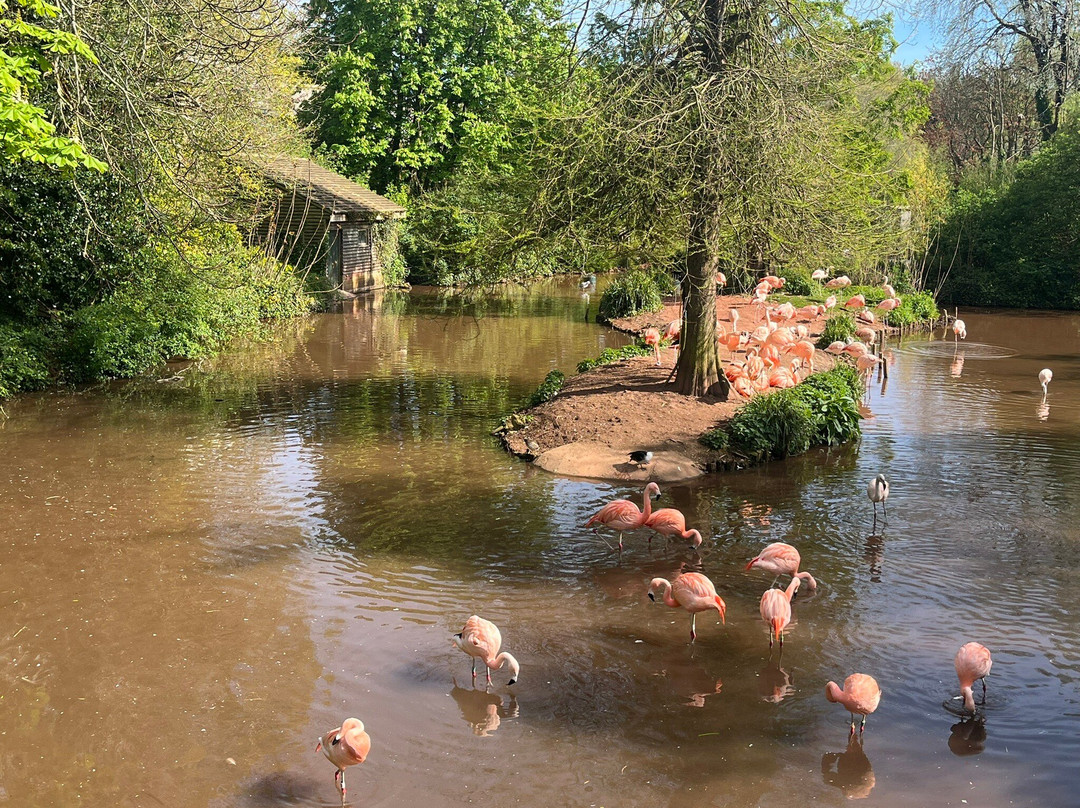 Paignton Zoo Environmental Park-佩恩顿必去景点