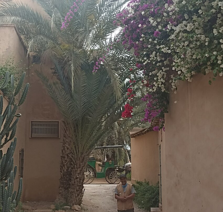 Taroudant Caleche Carriage Tours-塔鲁丹特必去景点