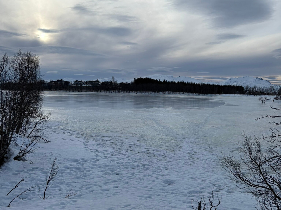 Prestvannet Lake-特罗姆瑟必去景点