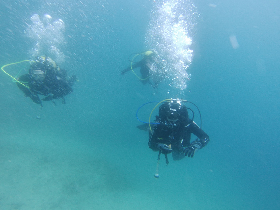 Starfish Diving Center-弗萨必去景点