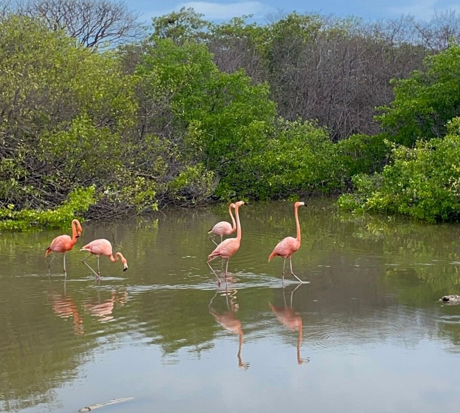 Hotel Isla Palma Reserva Natural主图
