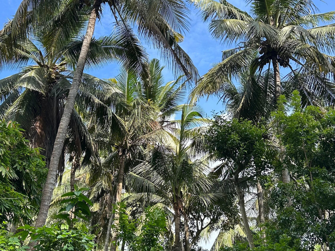 Nusa Penida Street Tour-珀尼达岛必去景点