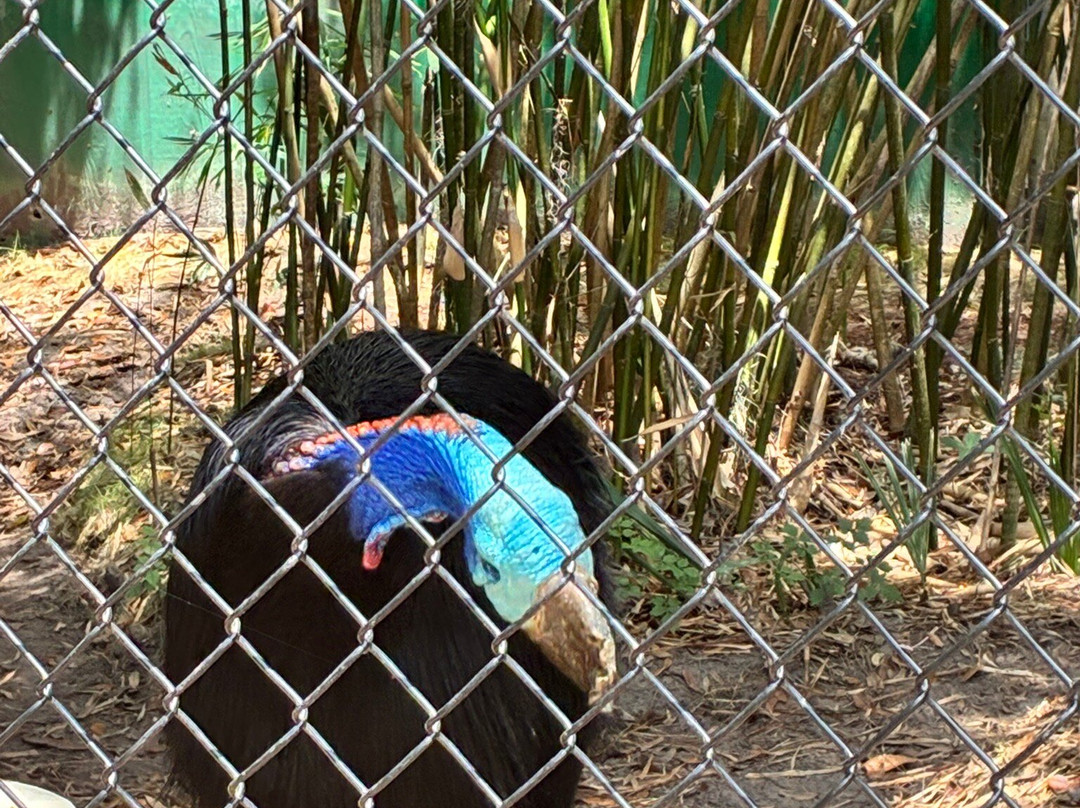 Jacksonville Zoo & Gardens-杰克逊维尔必去景点