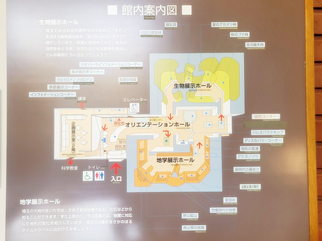 Saitama Museum of Natural History-长瀞町必去景点