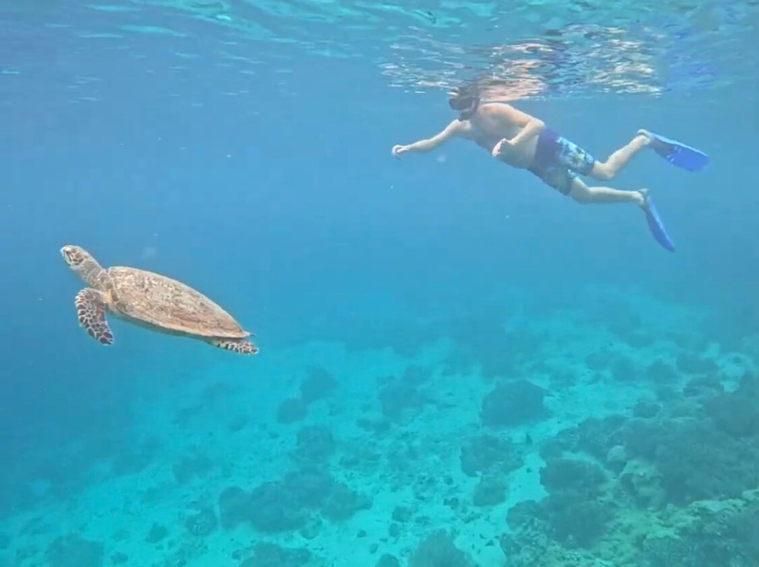 Menjangan Trip Snorkeling & Diving-Pejarakan必去景点