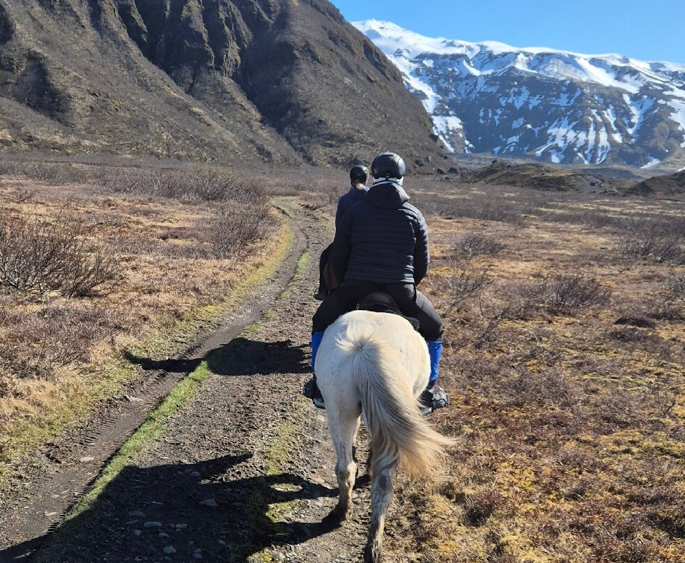 Glacier Horses-Svinafell必去景点