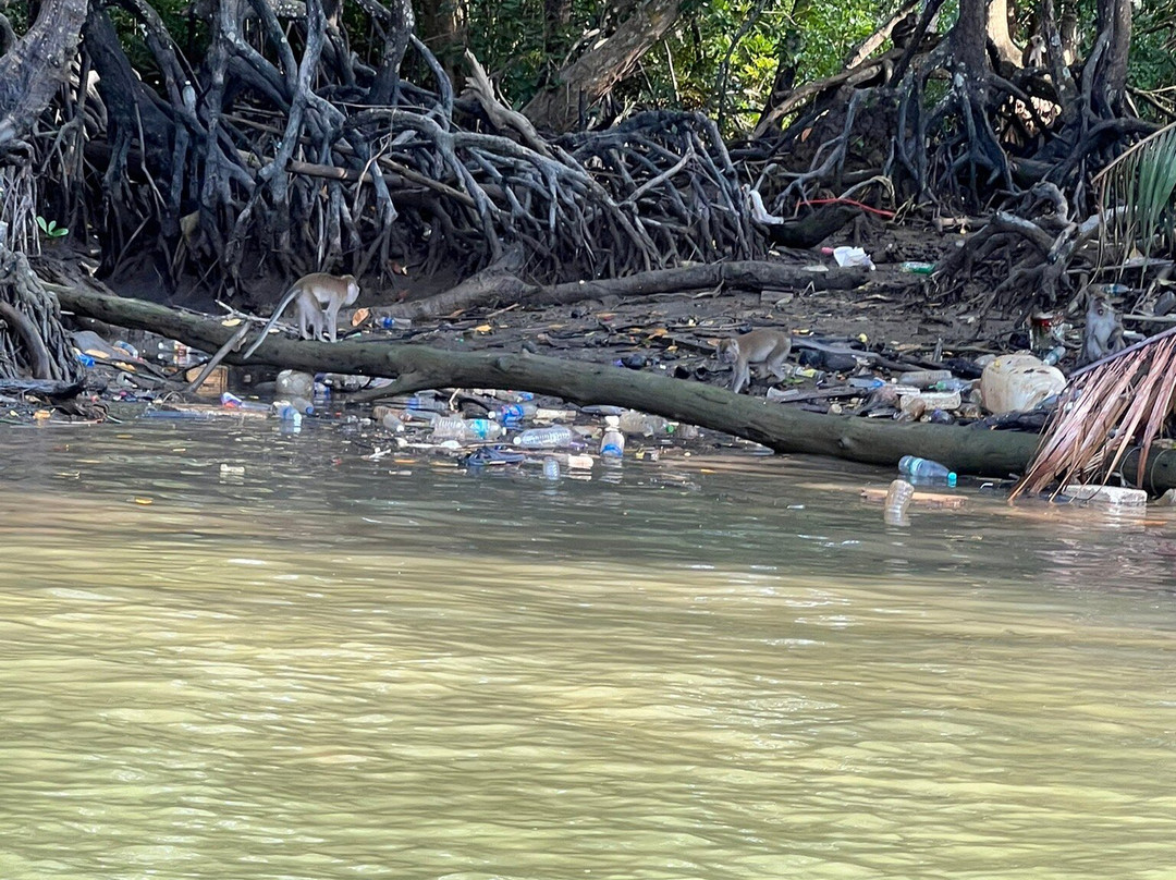 Kuantan River Cruise-关丹必去景点