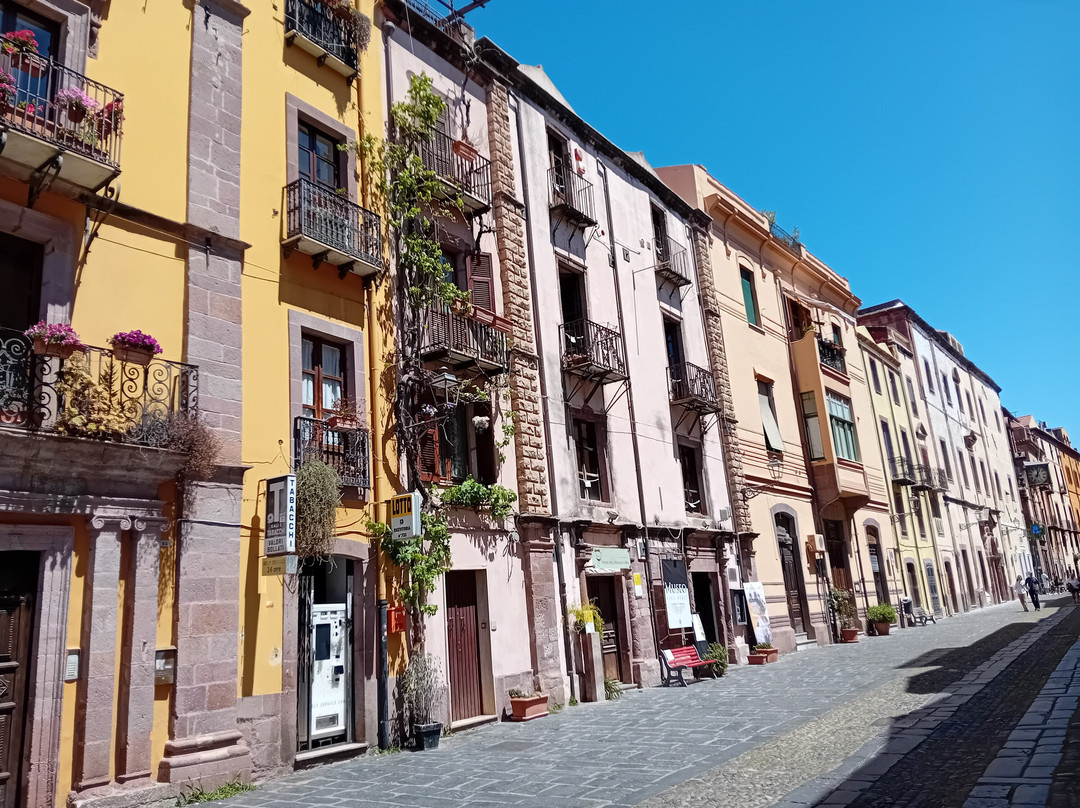 Centro storico di Bosa-博萨必去景点