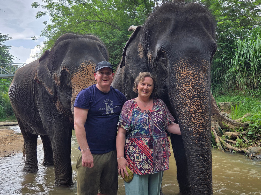 Elephant Freedom Project-凯格勒 必去景点
