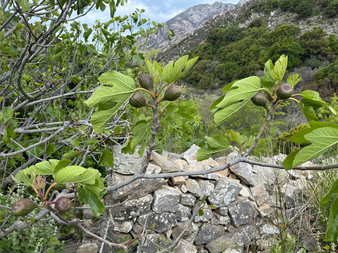 Naxos Hiking-纳克索斯必去景点
