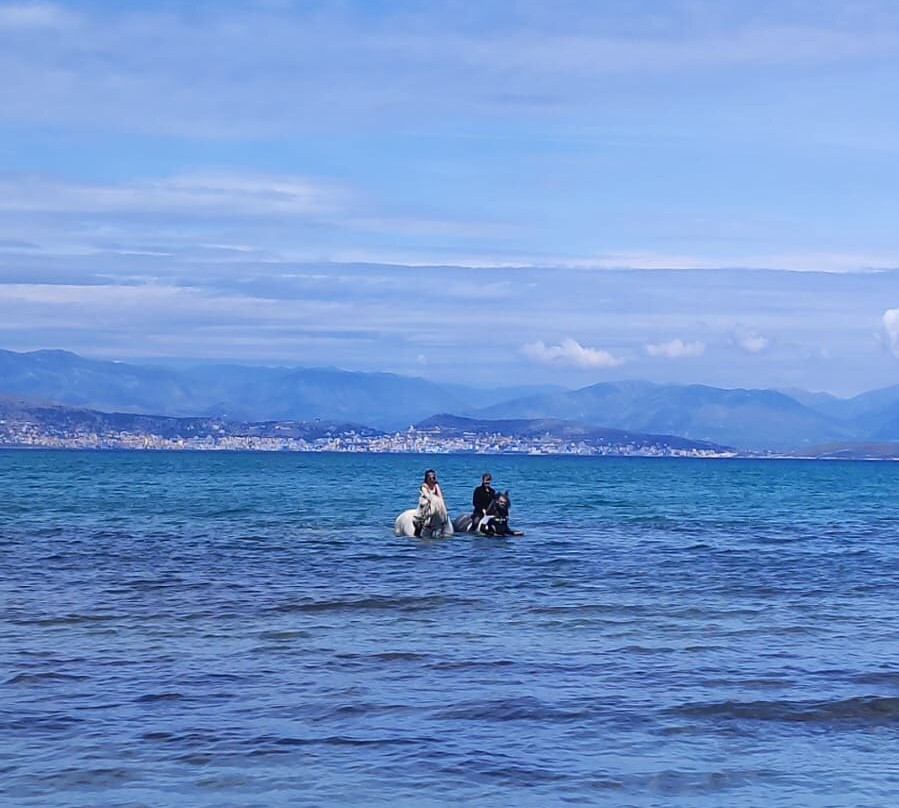 North Corfu Horses-Peritheia必去景点