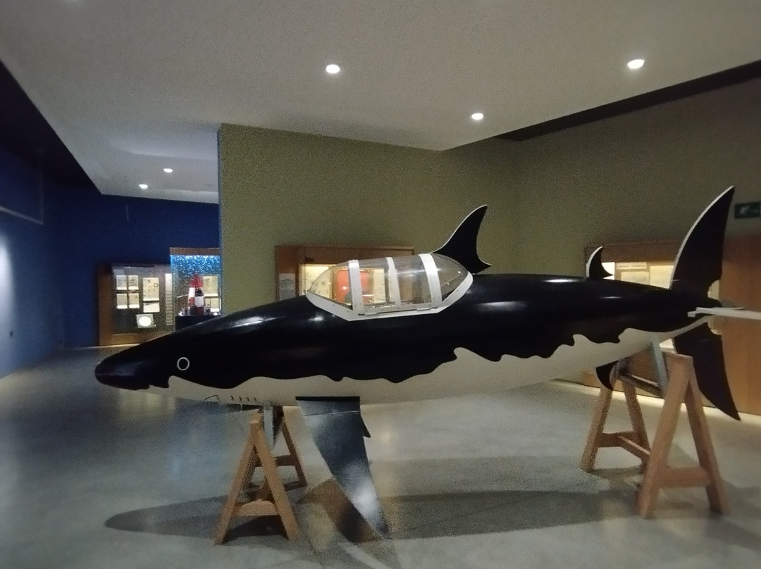 Hergé Museum-新鲁汶必去景点