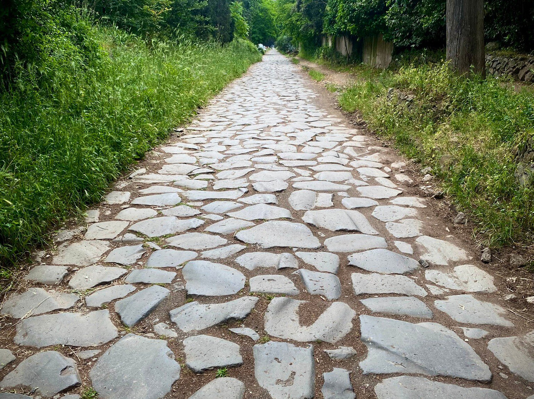 Appian Way (Via Appia Antica)-罗马必去景点