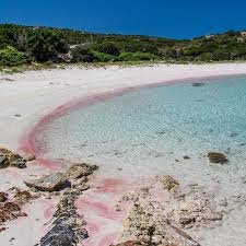 Spiaggia Rosa-Budelli必去景点