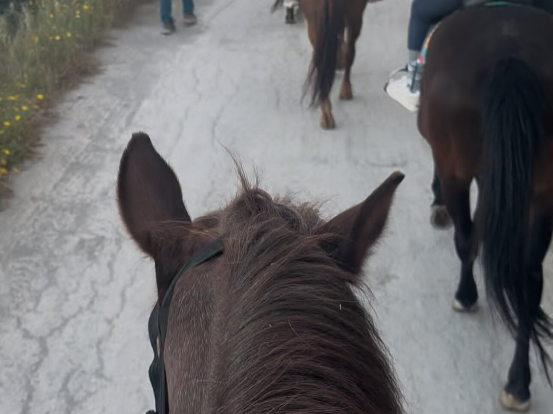 Finikia Horseriding-Finikia必去景点