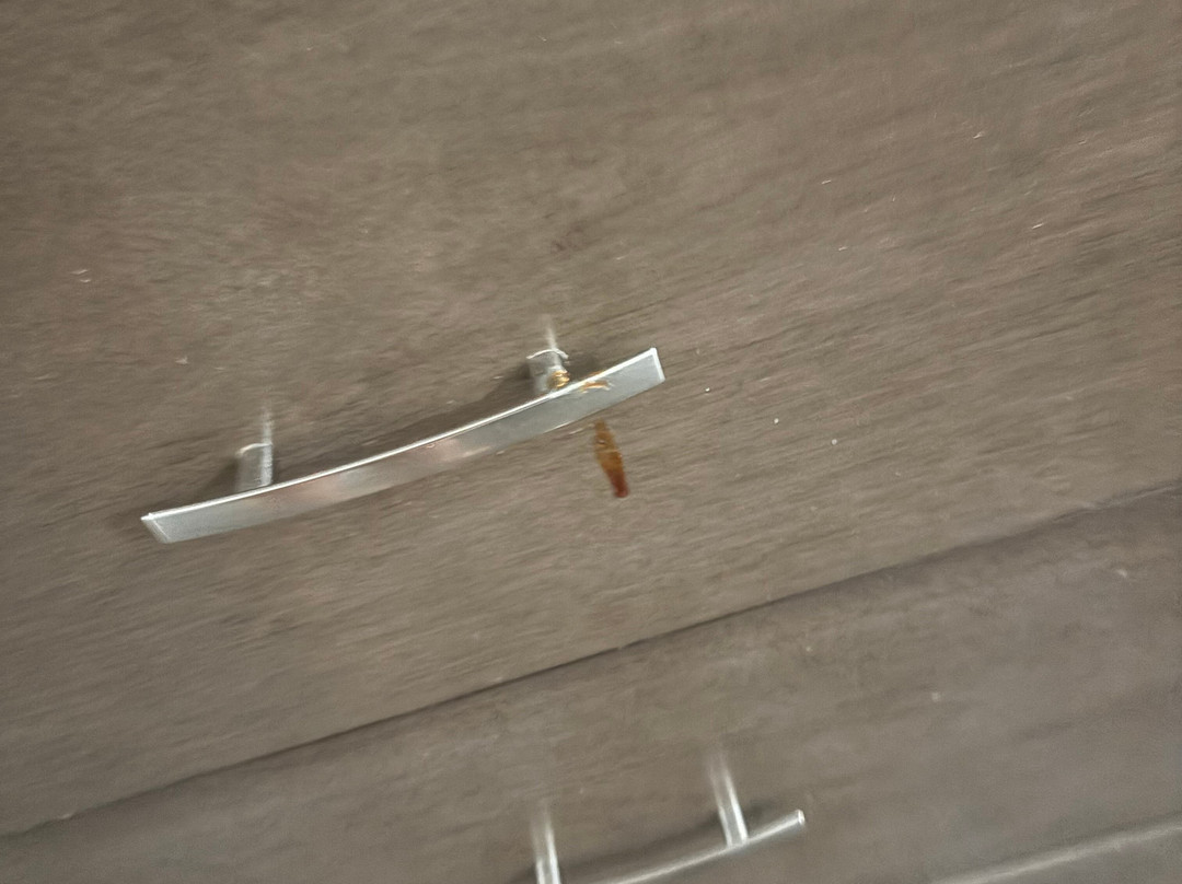 华盛顿地铁首都环带拉昆塔温德姆套房酒店主图