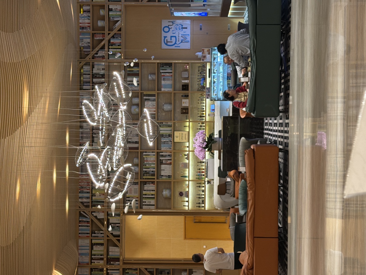 苏州金鸡湖文博雅高诺富特酒店-旅行者