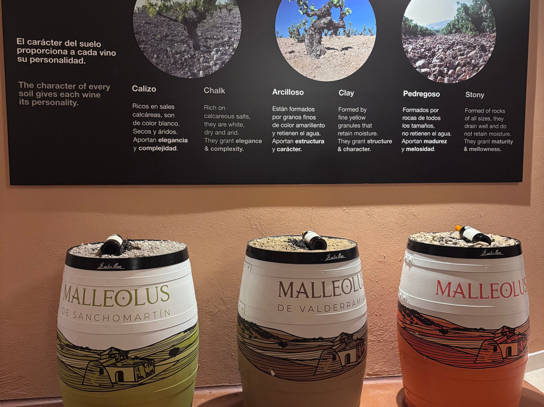 Emilio Moro Bodegas-Pesquera de Duero必去景点