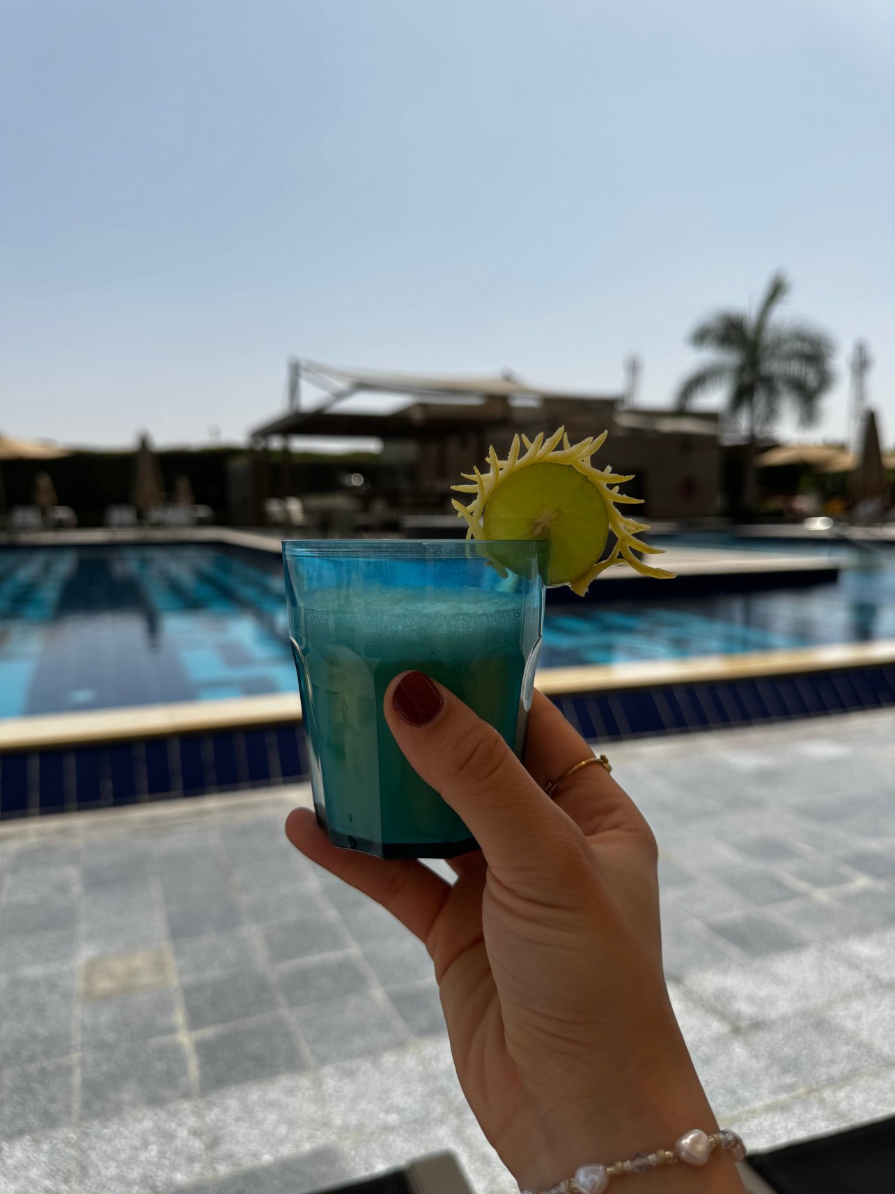 开罗西凯悦酒店-旅行者