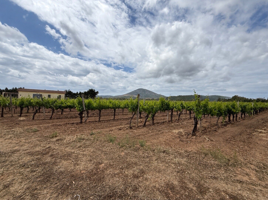 cantina rigàtteri-Santa Maria La Palma必去景点