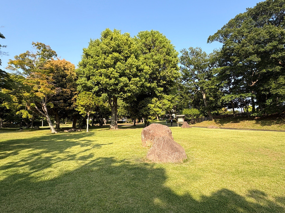 Oisojoyama Park-大矶町必去景点