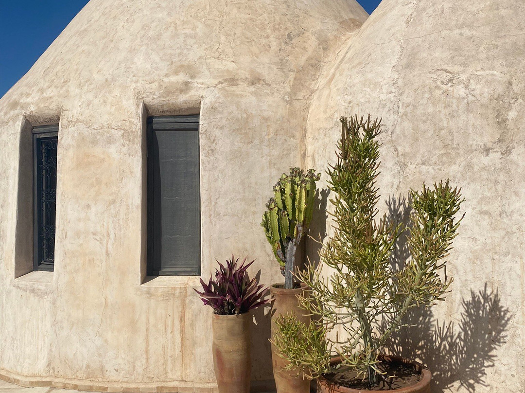 Les Jardins de Villa Maroc主图