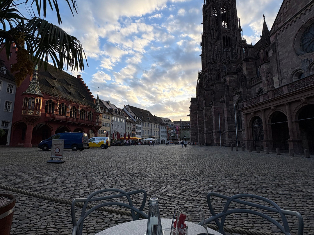 Münsterplatz-佛莱堡必去景点