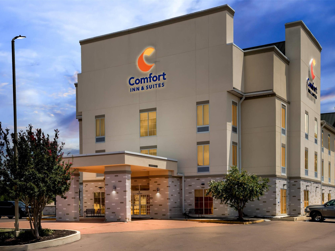 Philipp酒店住宿-Comfort Inn & Suites Grenada