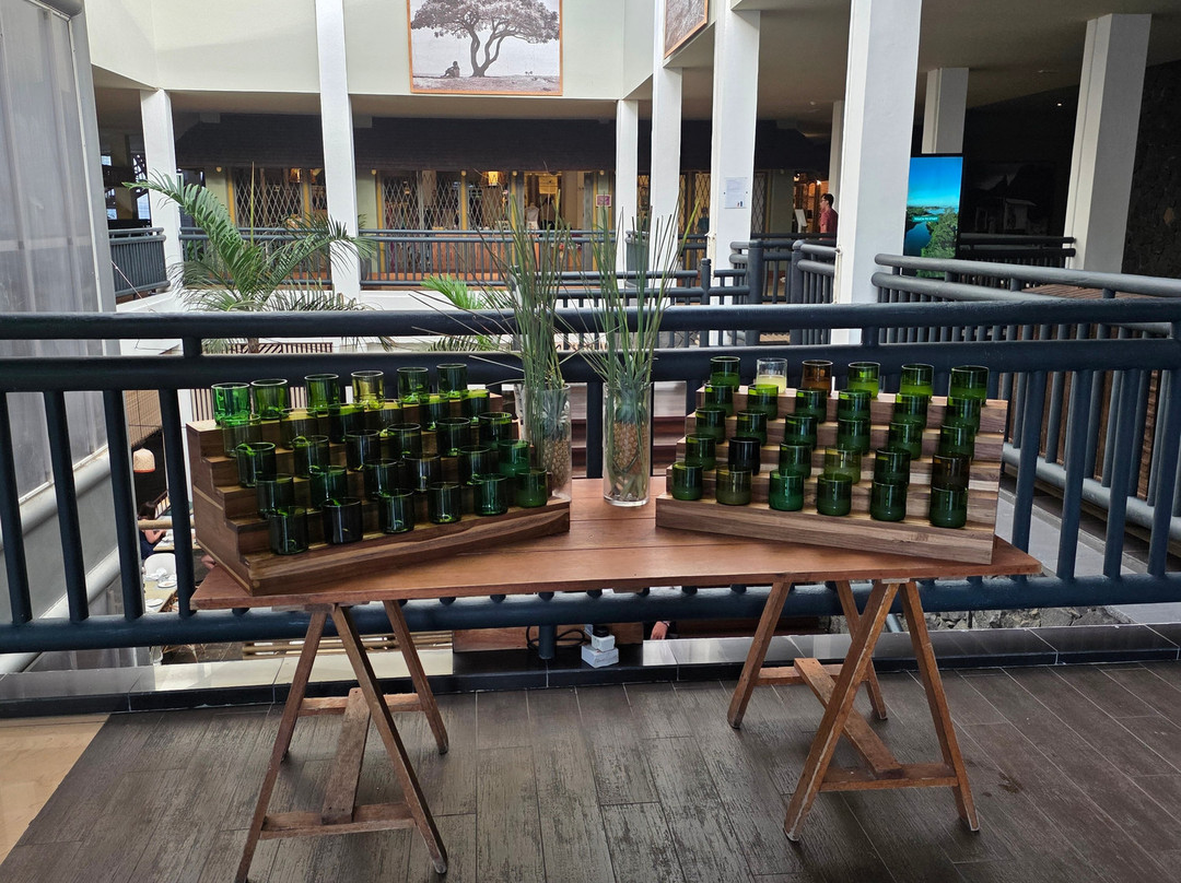 拉维纳拉态度酒店主图