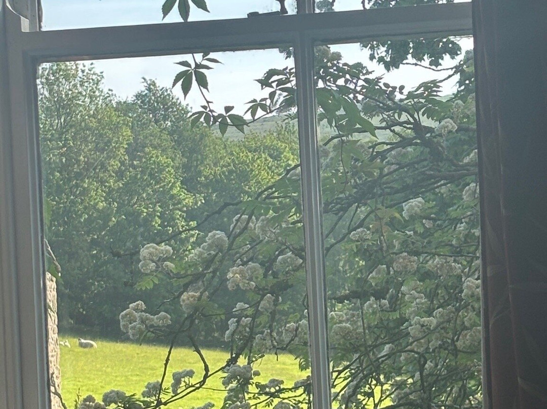 小牛头酒店主图