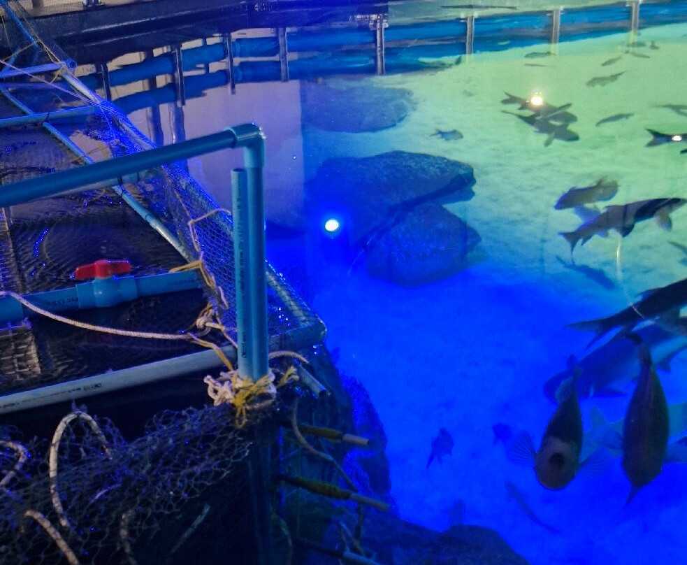 Angkor Wildlife & Aquarium-暹粒必去景点
