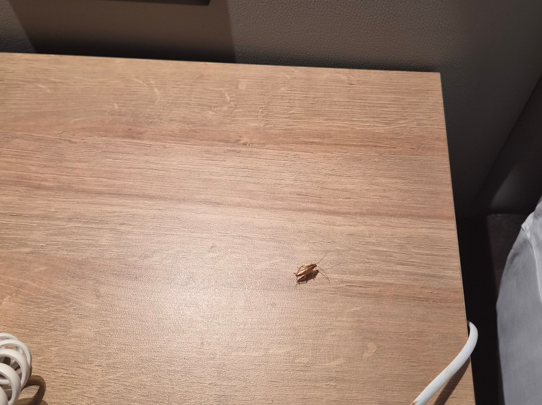 死海伊斯洛特酒店主图