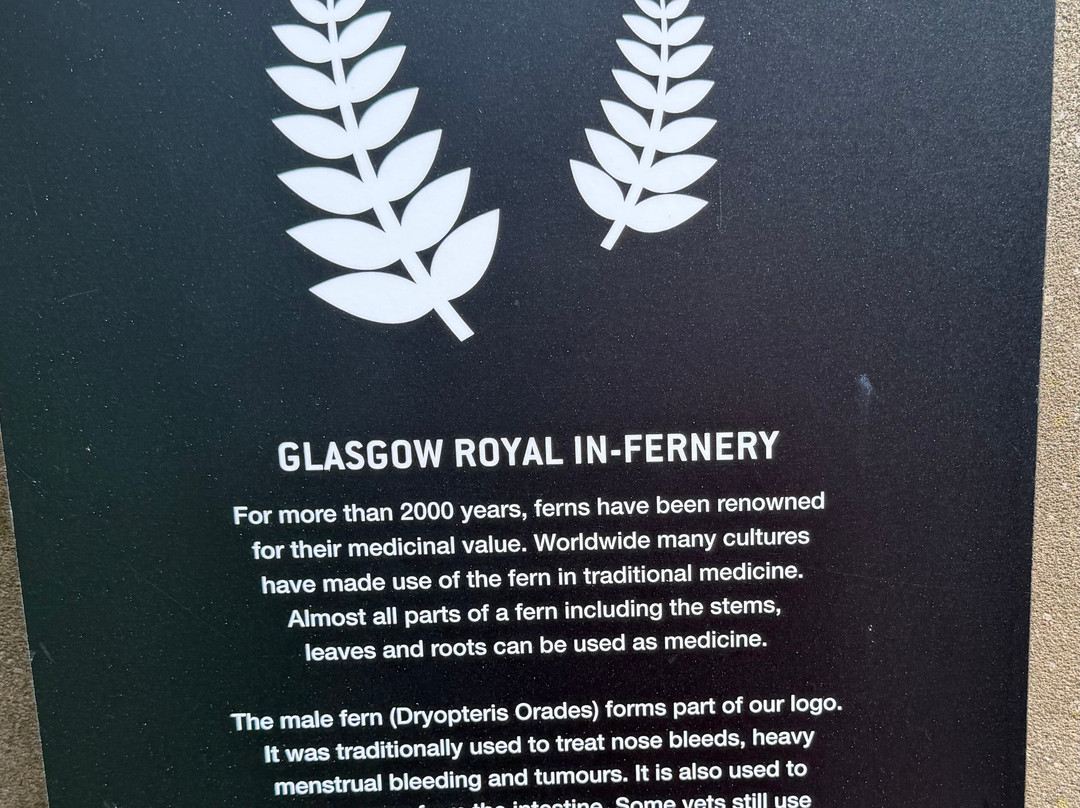 Friends Of Glasgow Royal Infirmary Museum-格拉斯哥必去景点