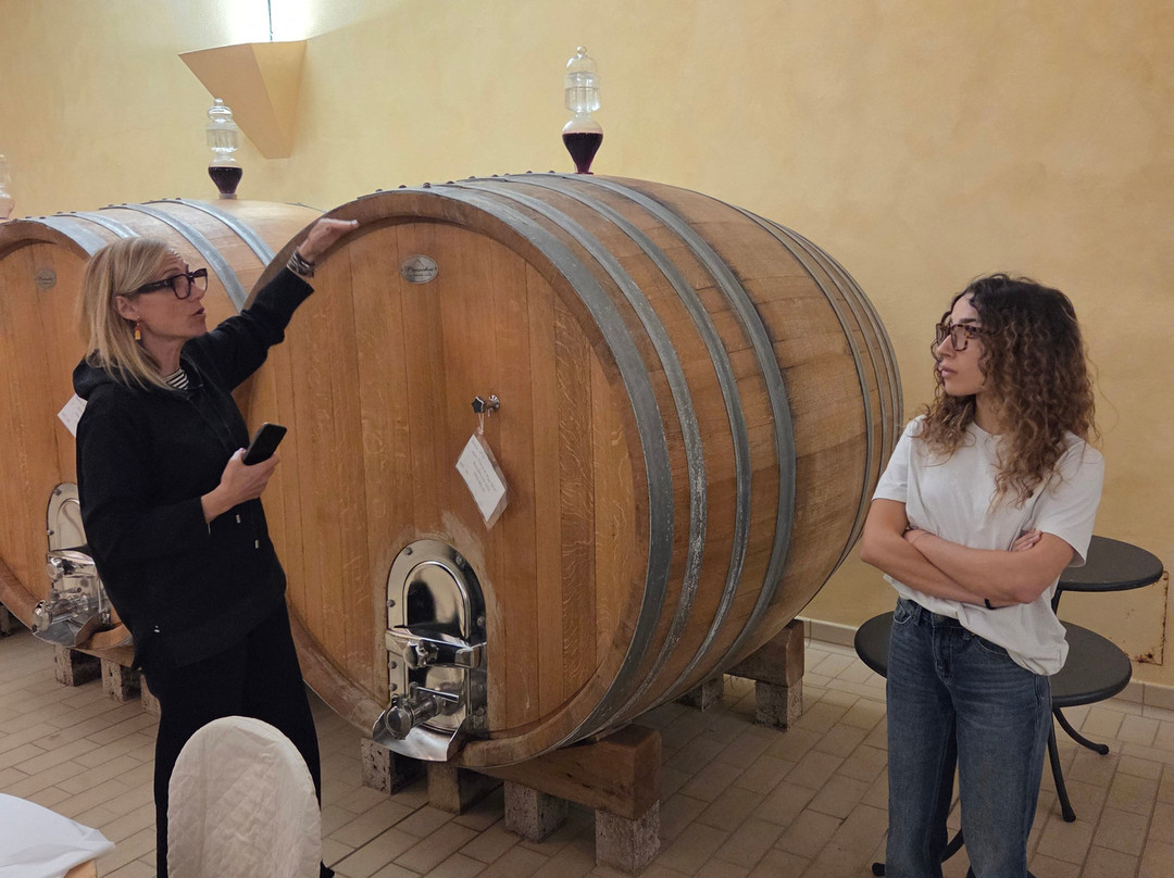 Badia Di Morrona Wine Tour & Tasting-Terricciola必去景点