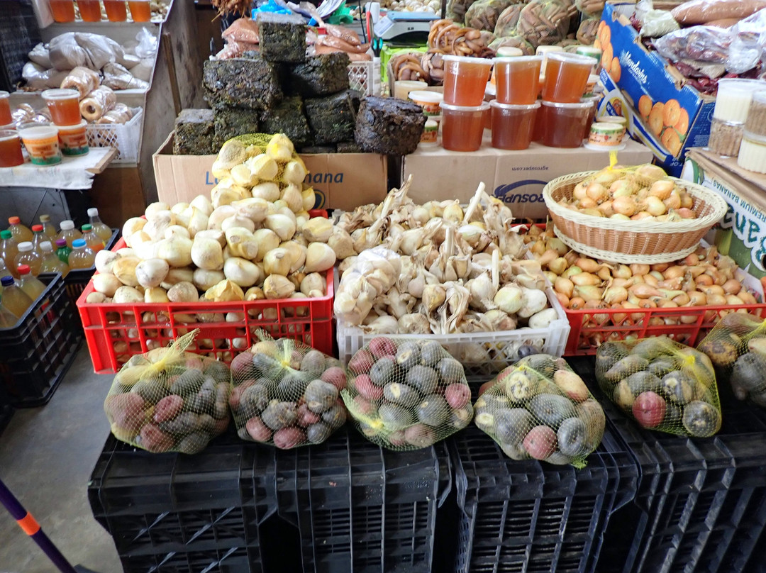 Feria Campesina Yumbel-Castro必去景点