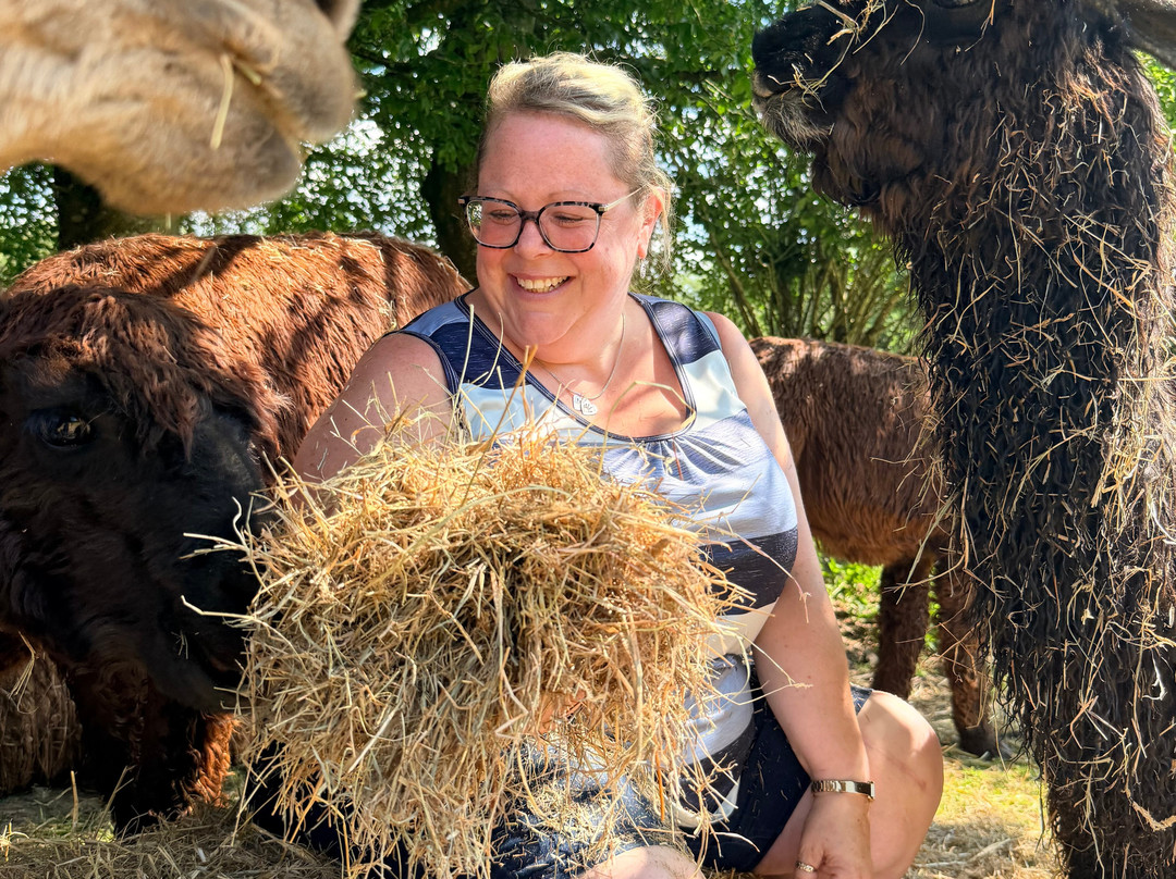 Lydford Gorge Alpacas-Lydford必去景点