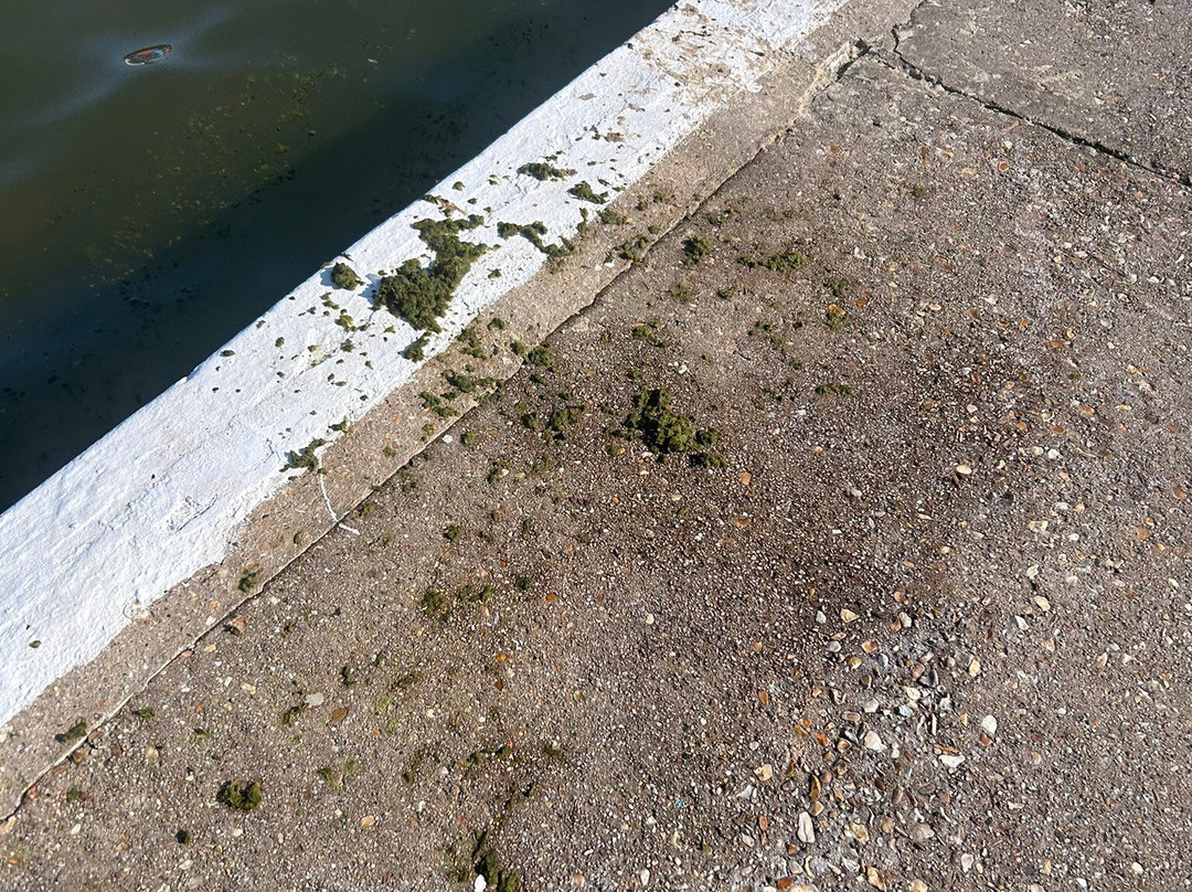 Lymington Sea Water Baths-利明顿必去景点