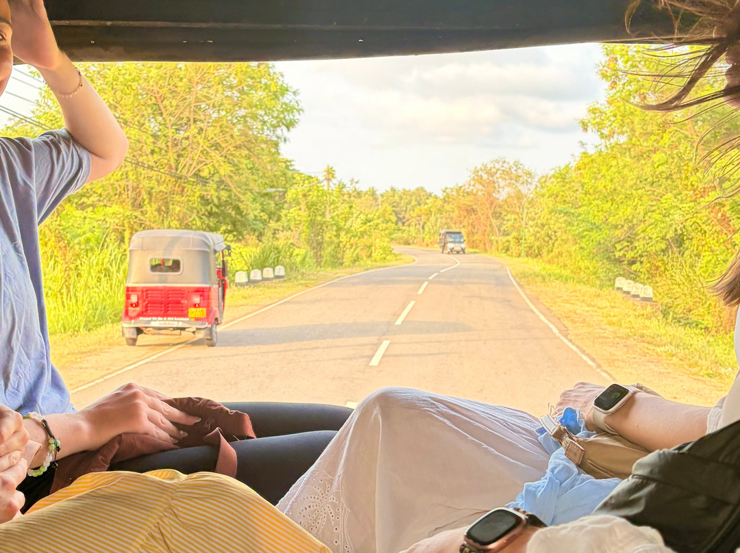 Indigo Lanka Travels-Aluthgama必去景点