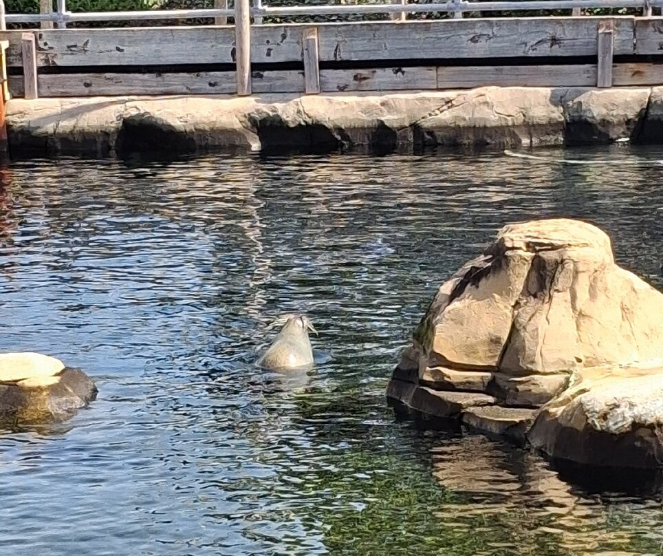 Weymouth SEA LIFE Adventure Park-韦茅斯必去景点