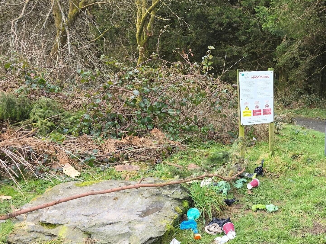 Hafren Forest