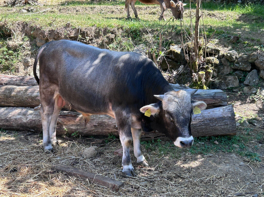 Cascina Il Cucco