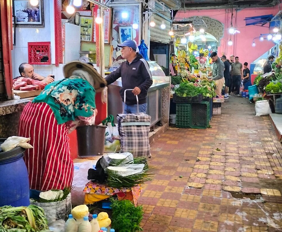 Marocco Tours-马拉喀什必去景点
