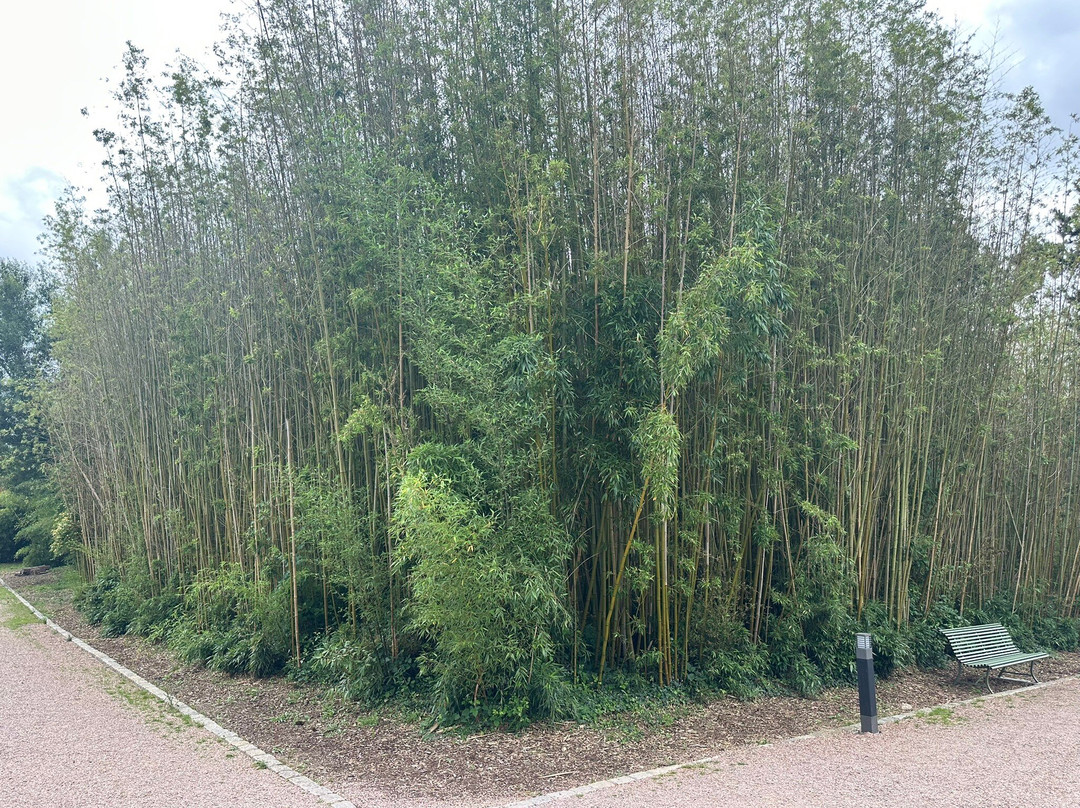Jardin Botanique-La Gacilly必去景点
