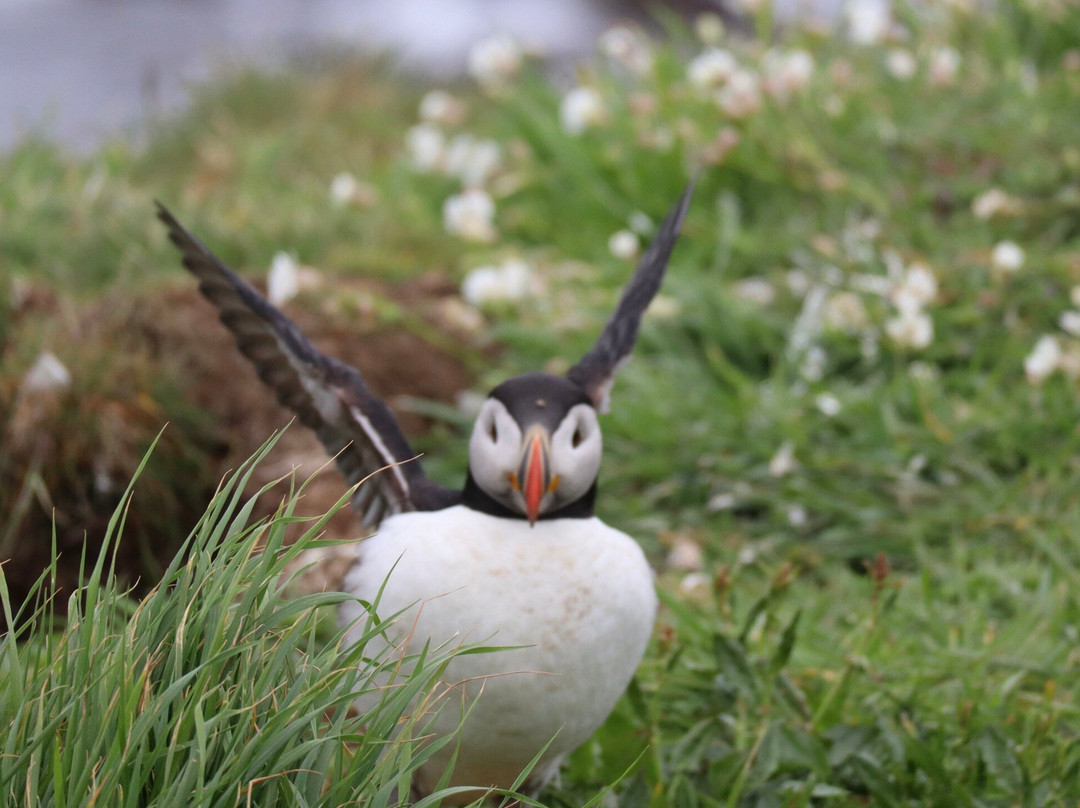 Isle of Lunga-The Hebrides必去景点