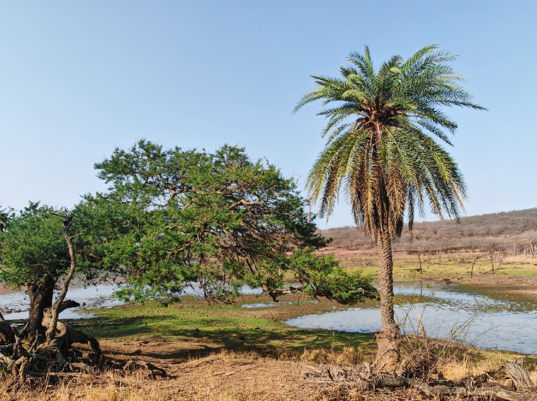 Ranthambore National Park-Ranthambore National Park必去景点