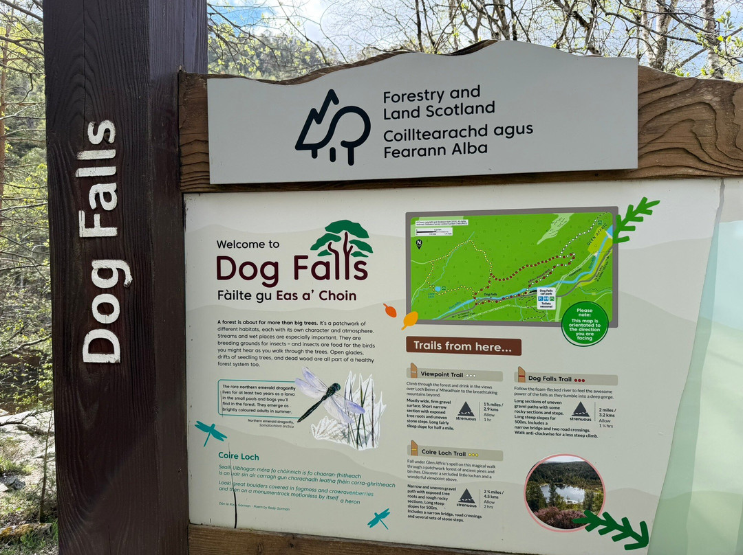 Glen Affric National Nature Reserve-Cannich必去景点