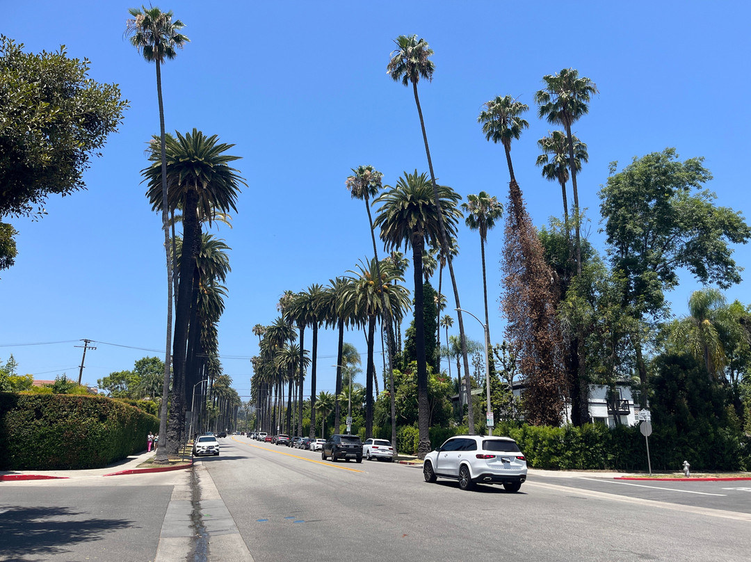 Beverly Gardens Park-比佛利山必去景点