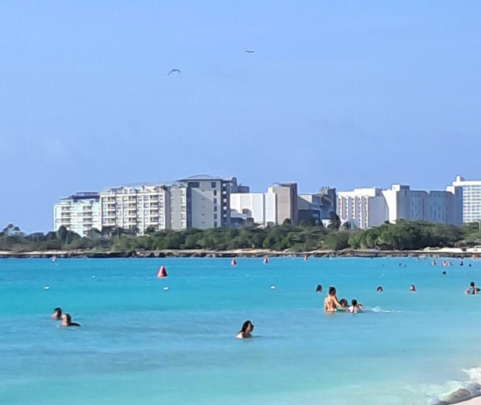 Eagle Beach-棕榈/鹰海滩必去景点