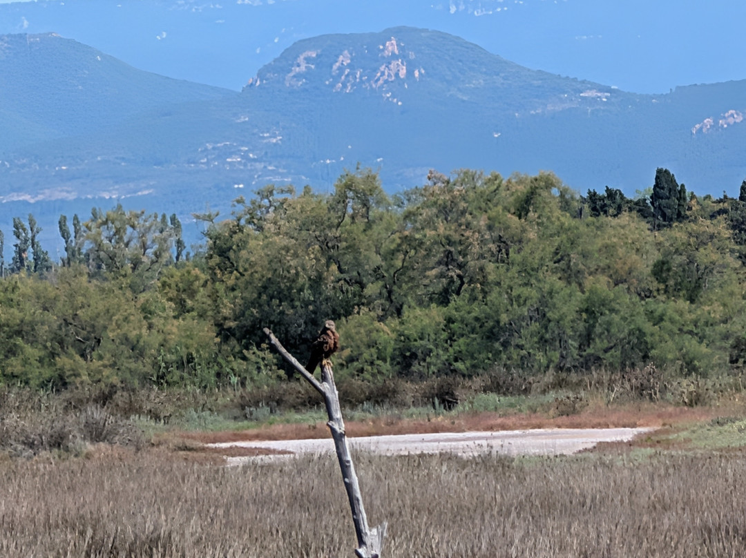 Etangs de Villepey-Saint-Aygulf必去景点