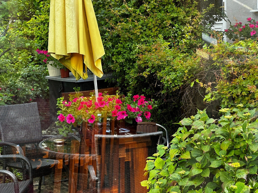 Sea Breeze Lodge B&B Galway主图